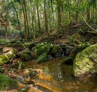 Palm Grove Nature Reserve - Accommodation Cooktown
