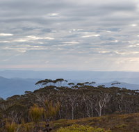 Mount Budawang trail - Accommodation Cooktown