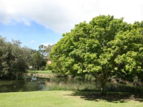 Hervey Bay Botanic Gardens - Accommodation Cooktown 0