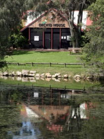 Hervey Bay Botanic Gardens - Accommodation Cooktown 1