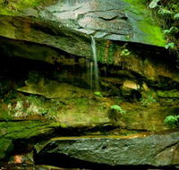 Strickland State Forest - Accommodation Cooktown