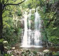 Budderoo National Park - The Falls Walk - Accommodation Cooktown