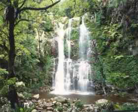 Budderoo National Park - The Falls Walk - Accommodation Cooktown 0