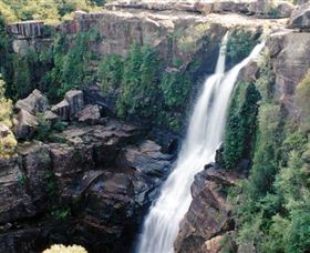 Minnamurra Rainforest Centre: Budderoo National Park - Accommodation Cooktown 0