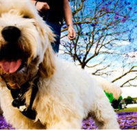 Tuckeroo Park - Accommodation Cooktown