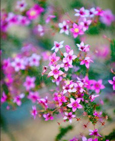 Kalbarri National Park - Accommodation Cooktown 2