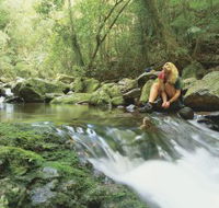 Dave's Creek circuit - Accommodation Cooktown