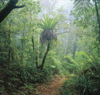 Wagawn - Accommodation Cooktown