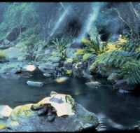 Coomera circuit - Accommodation Cooktown