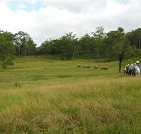 Numinbah Valley Adventure Trails - Accommodation Cooktown