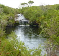Booderee National Park Green Patch and Telegraph Creek Walking Tracks - Accommodation Cooktown