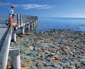 Hamelin Pool Stromatolites - Accommodation Cooktown 3