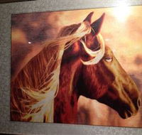 Silk Art Gallery - Accommodation Cooktown