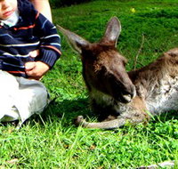 Bunbury Wildlife Park - Accommodation Cooktown
