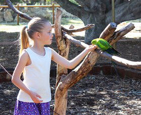 Bunbury Wildlife Park - Accommodation Cooktown 1