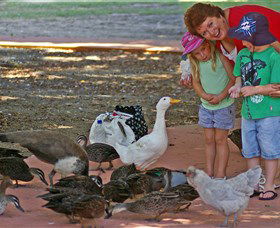 Bunbury Wildlife Park - Accommodation Cooktown 3