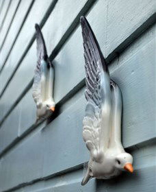 Kingstudio Gallery - Accommodation Cooktown 5