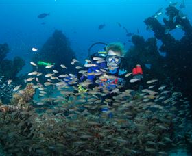 Aarhus Dive Site - Accommodation Cooktown 0