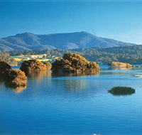 Wagonga Picnic Area - Accommodation Cooktown