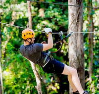 TreeTop Challenge Currumbin - Accommodation Cooktown
