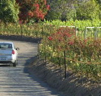 Cassegrain Wines - Accommodation Cooktown