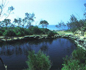 Angourie Blue Pool - Accommodation Cooktown 2