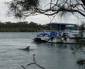 Dunbogan Boatshed - Accommodation Cooktown 2