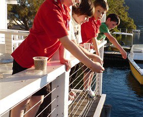 Dunbogan Boatshed - Accommodation Cooktown 3