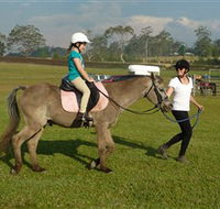 Port Macquarie Horse Riding Centre - Accommodation Cooktown