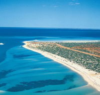 Monkey Mia - Accommodation Cooktown