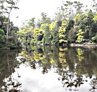 Arthur River - Accommodation Cooktown