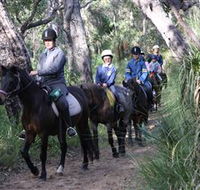 Mirravale Horse Riding School - Accommodation Cooktown