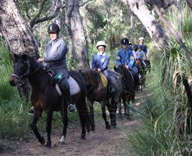 Mirravale Horse Riding School - Accommodation Cooktown 0