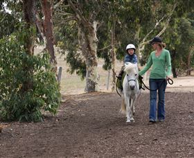 Mirravale Horse Riding School - Accommodation Cooktown 2