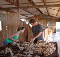 Peron Homestead - Accommodation Cooktown