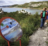 Rocky Cape National Park - Accommodation Cooktown