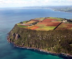Table Cape - Accommodation Cooktown 0