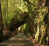 Philosopher Falls - Accommodation Cooktown