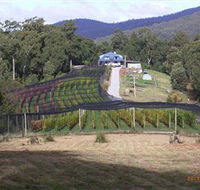 Motton Terraces - Accommodation Cooktown