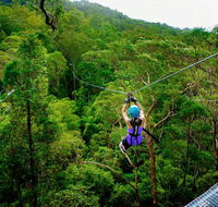 Canyon Flyer - Accommodation Cooktown