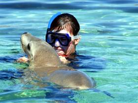 Gawler Ranges Wilderness Safaris - Accommodation Cooktown 2