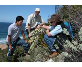 Accommodation Cooktown