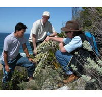 Sapphire Coast Ecotours - Accommodation Cooktown