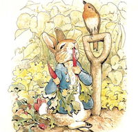 Mount Isa Civic Centre