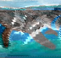 Kaz Art-Whitewash Gallery