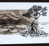 Douglas Arts Inc - Accommodation Cooktown