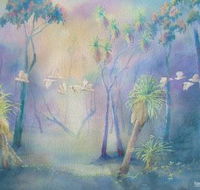 Territory Colours - Accommodation Cooktown