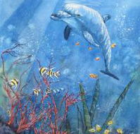 Nadas Fine Art Gallery - Accommodation Cooktown