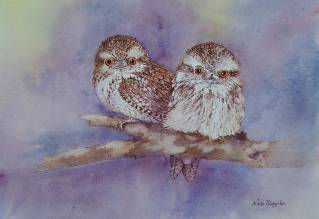 Nada’s Fine Art Gallery - Accommodation Cooktown 1