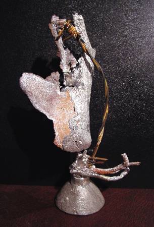 Treetops Art Gallery - Accommodation Cooktown 2